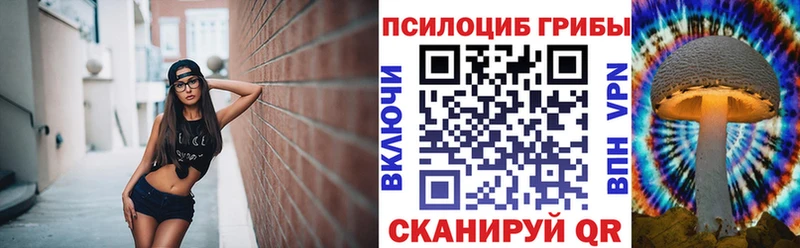 дарнет шоп  блэк спрут сайт  Галлюциногенные грибы Psilocybine cubensis  Электросталь 